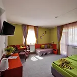 Pensiune Zigen House