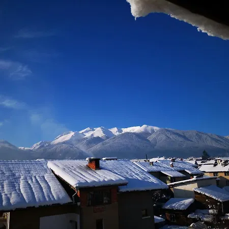 Guest house Zigen House 3*