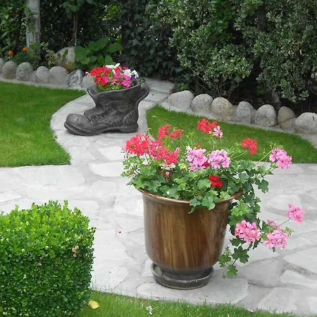 Guest house Zigen House Bansko