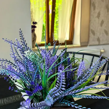 Affittacamere Zigen House 3*