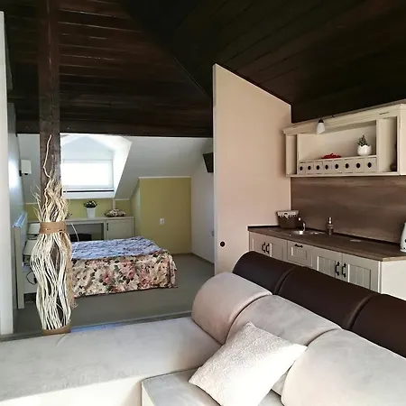 Zigen House 3*