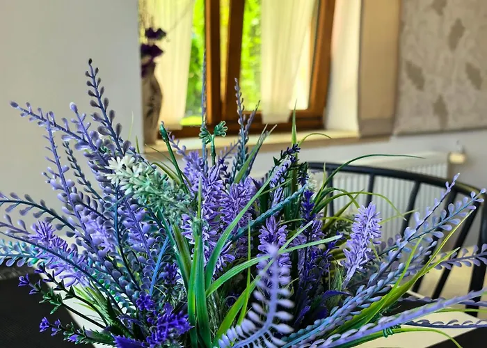 Гостевой дом Zigen House 3*