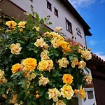 Zigen House バンスコ