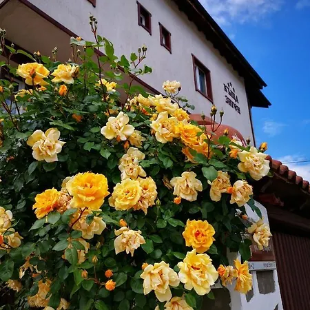 Zigen House Bansko