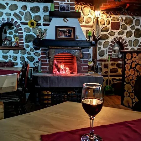 Pensiune Zigen House Bansko