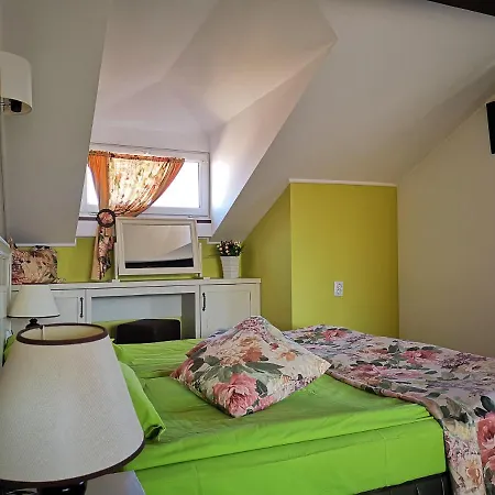 Zigen House Pensiune 3*