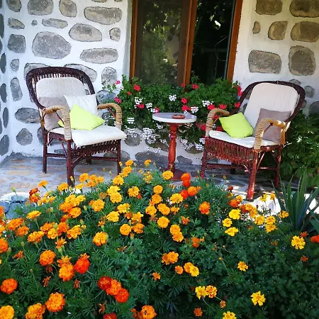Zigen House