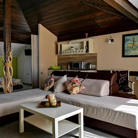 Zigen House Pensiune