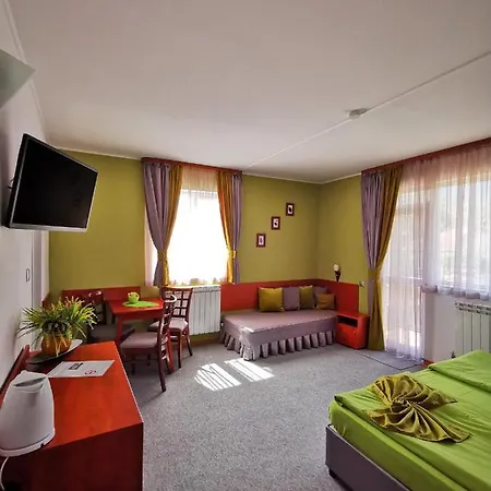 Pensiune Zigen House