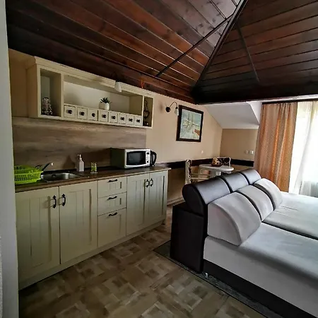 Zigen House Guest house Bansko