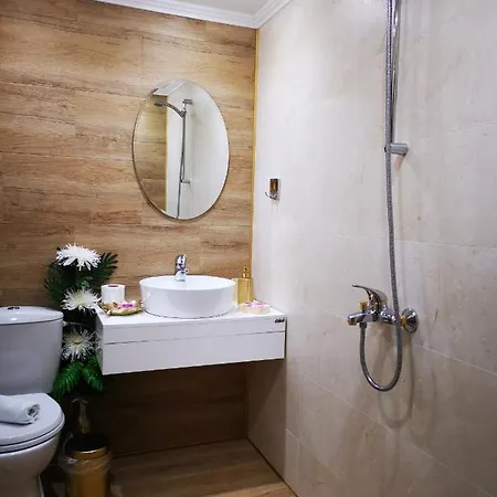 Zigen House Pensiune 3*