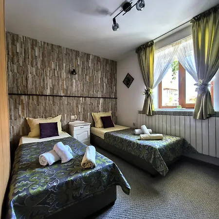 Zigen House Pensiune Bansko