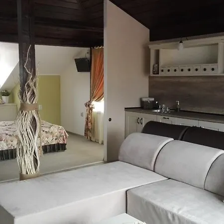 Pensionat Zigen House Bansko