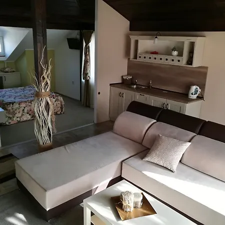 Pensiune Zigen House 3*