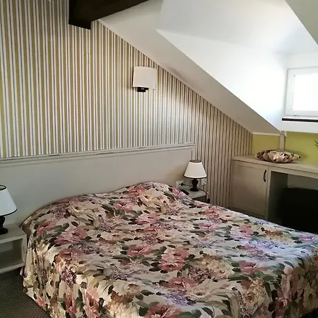 Pensiune Zigen House
