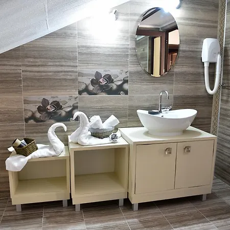 Zigen House Pensiune 3*