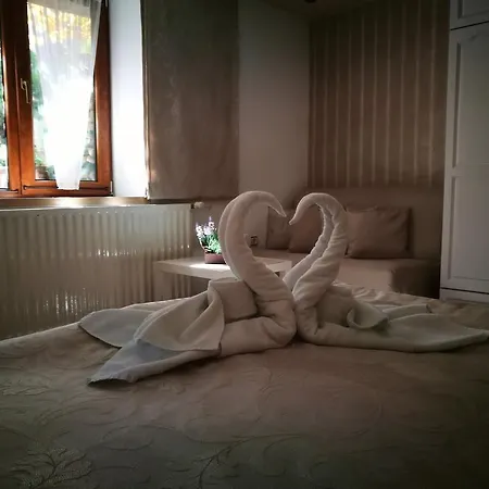 Zigen House 3*