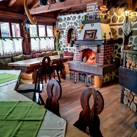 Zigen House Pensiune 3*