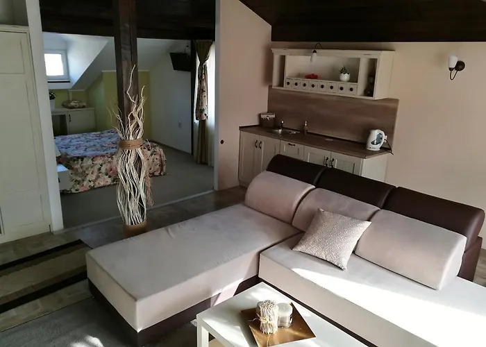 Guest house Zigen House 3*